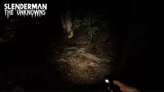 Скриншот 5 к игре Slenderman: The Unknowns