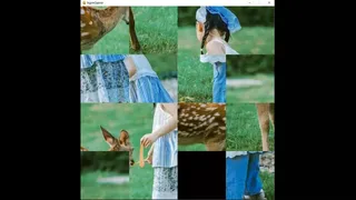 Скриншот 5 к игре deer