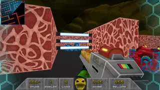 Скриншот 7 к игре Pac's Revenge