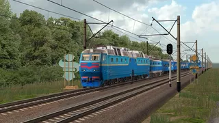 ZDSimulator