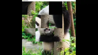 Скриншот 5 к игре hgmGame-panda