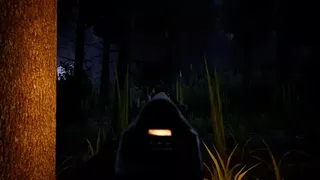 Скриншот 5 к игре Forest