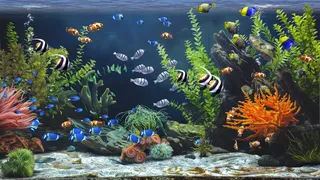 Скриншот 5 к игре Zen Aquarium