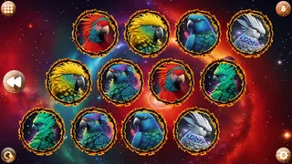 Скриншот 5 к игре Space Memory: Parrots