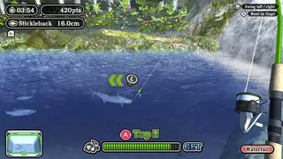 Reel it! Fishing