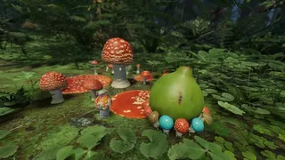 Forest Floor
