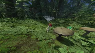 Скриншот 5 к игре Forest Floor