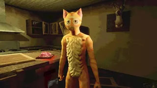 Cat Named Mojave