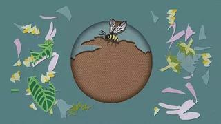 Papercut Art Gallery-Nature II