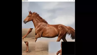 hgmGame-horse