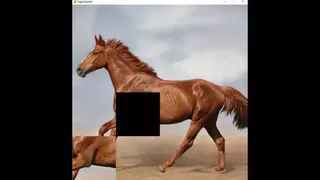 hgmGame-horse