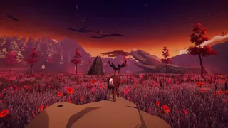 Echoes of the Wild