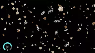 Cellscape