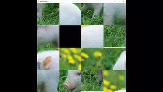 hgmGame-pig