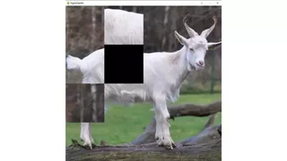 hgmGame-sheep