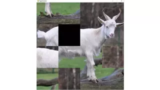hgmGame-sheep