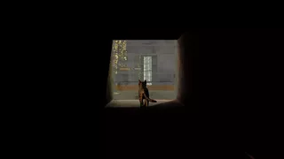 Cats Ritual