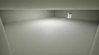 Solitary