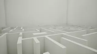 Solitary