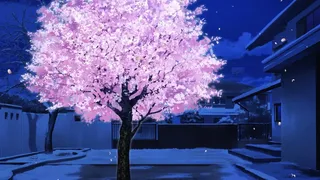 Скриншот 5 к игре 桜色の夢を見て、僕は君に恋をする
