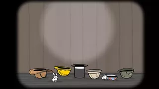The Mr. Rabbit Magic Show