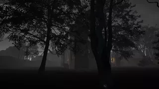 Замок Туманов