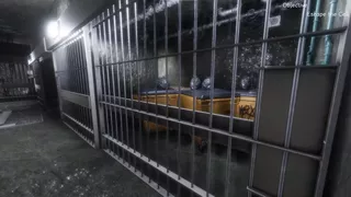 Synthetic Captive