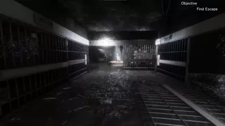 Synthetic Captive