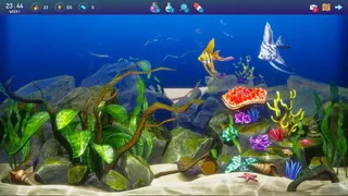 The Aquarium