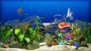 The Aquarium