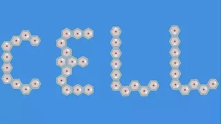 Cell Craft 细胞工艺