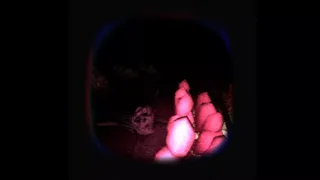 Скриншот 8 к игре Cryptid Engine