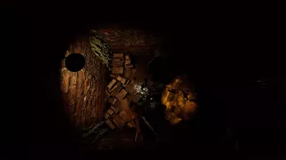 Internal Incident