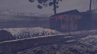 The Shed