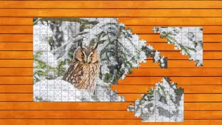 Скриншот 5 к игре Whispers of Wings Jigsaw Puzzles