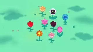 Maddy's Meadow