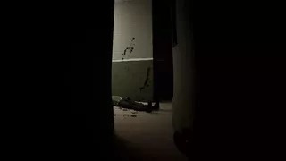 Night Crew