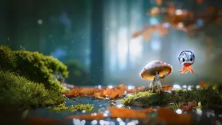 Dew