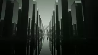 The Web