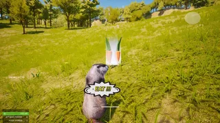 Marmot Fight Club