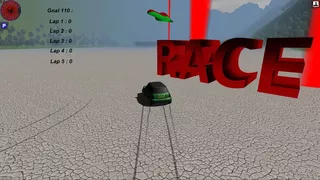 Crazy Racer