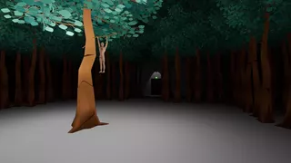 Wall