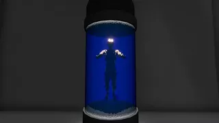 Wall