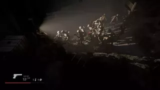Where the forest ends