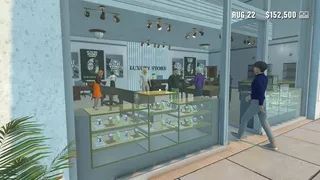 Luxury Store Simulator