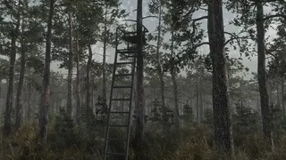 Deer Hunting Camp