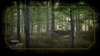 Скриншот 5 к игре Deer Hunting Camp