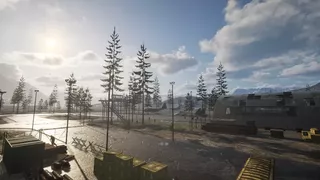 Swanfield Survival