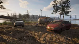 Swanfield Survival