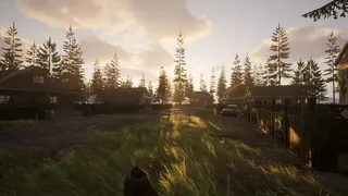 Скриншот 7 к игре Swanfield Survival